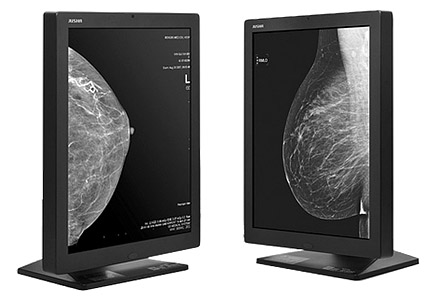 Monochrome Diagnostic Display JUSHA-M53 for mammography